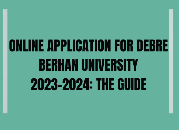 Application For Debre Berhan University 2023-2024 Online: The Guide